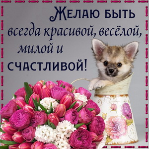 Картинка с собачкой, розами и пожеланием