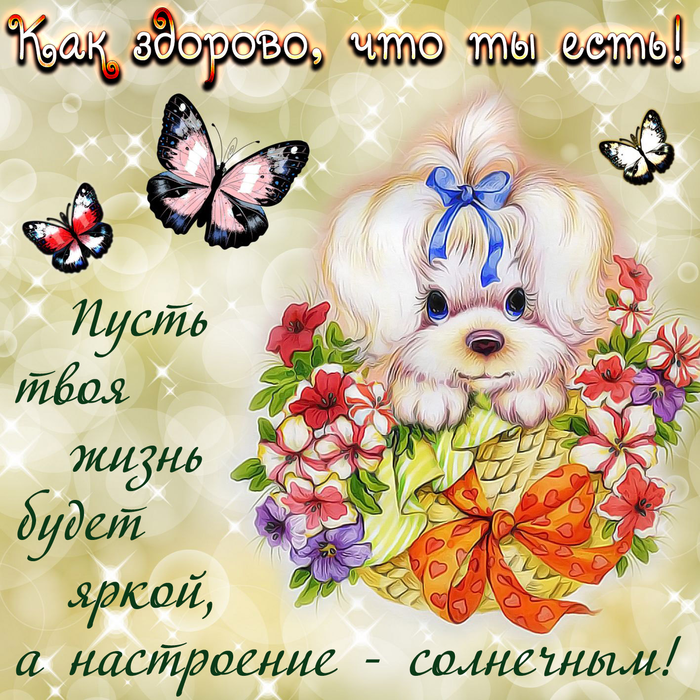 Картинка с собачкой и бабочками и пожеланием