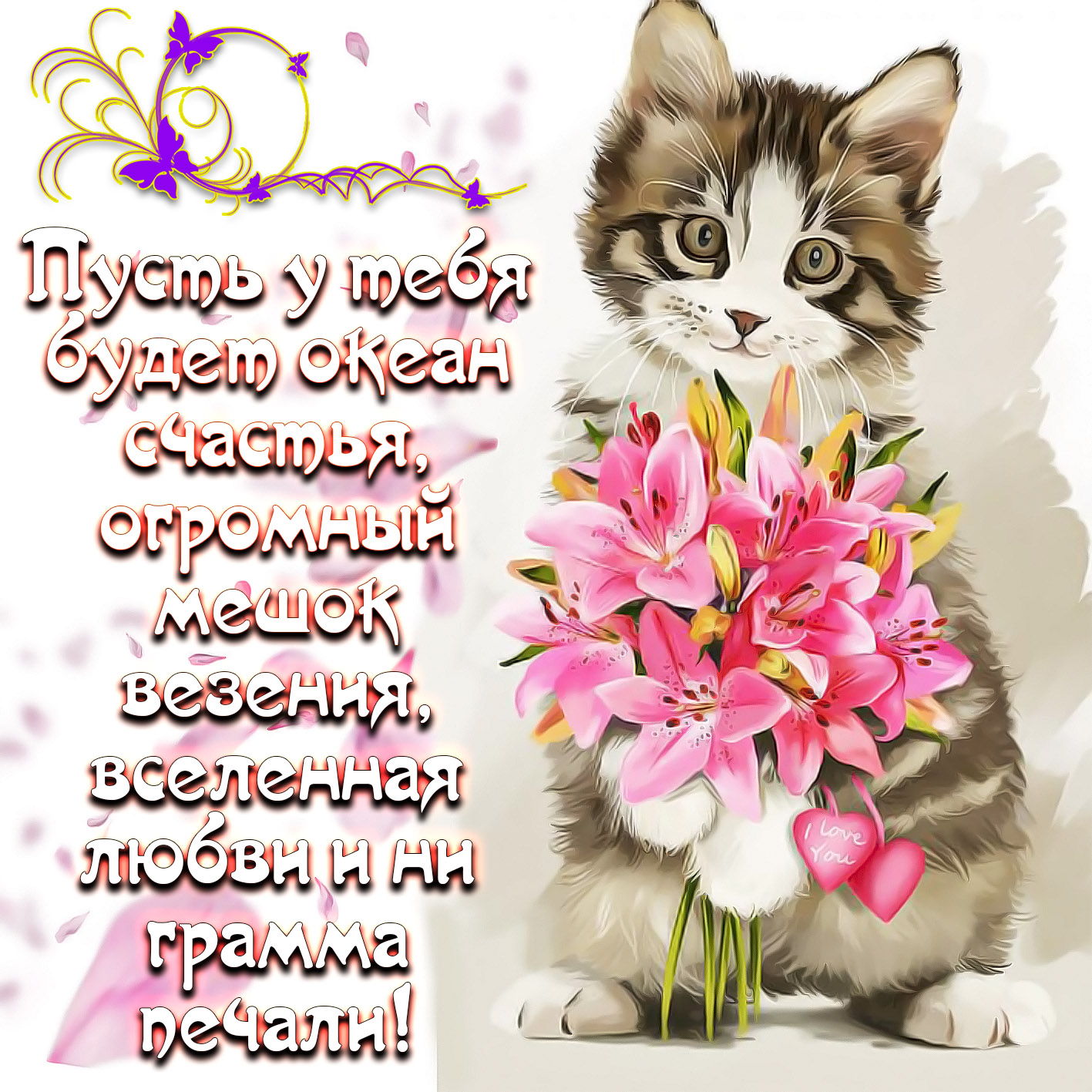 Открытка - красивый котик с цветами и пожелание