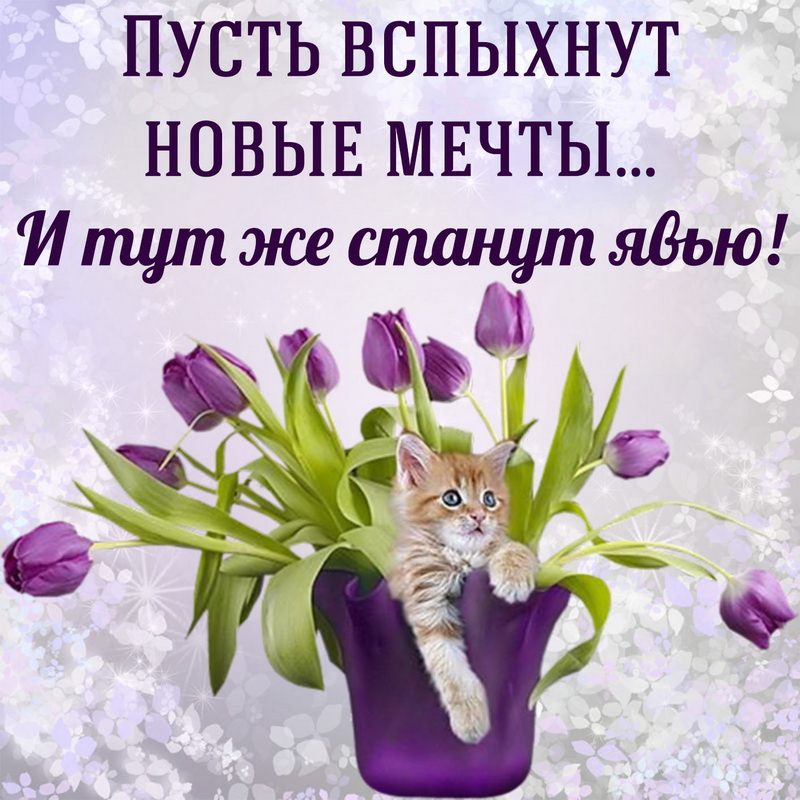 Картинка с пожеланием и котёнком среди тюльпанов