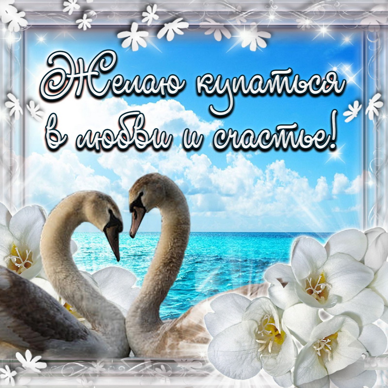 Картинка с лебедями и пожеланием любви и счастья
