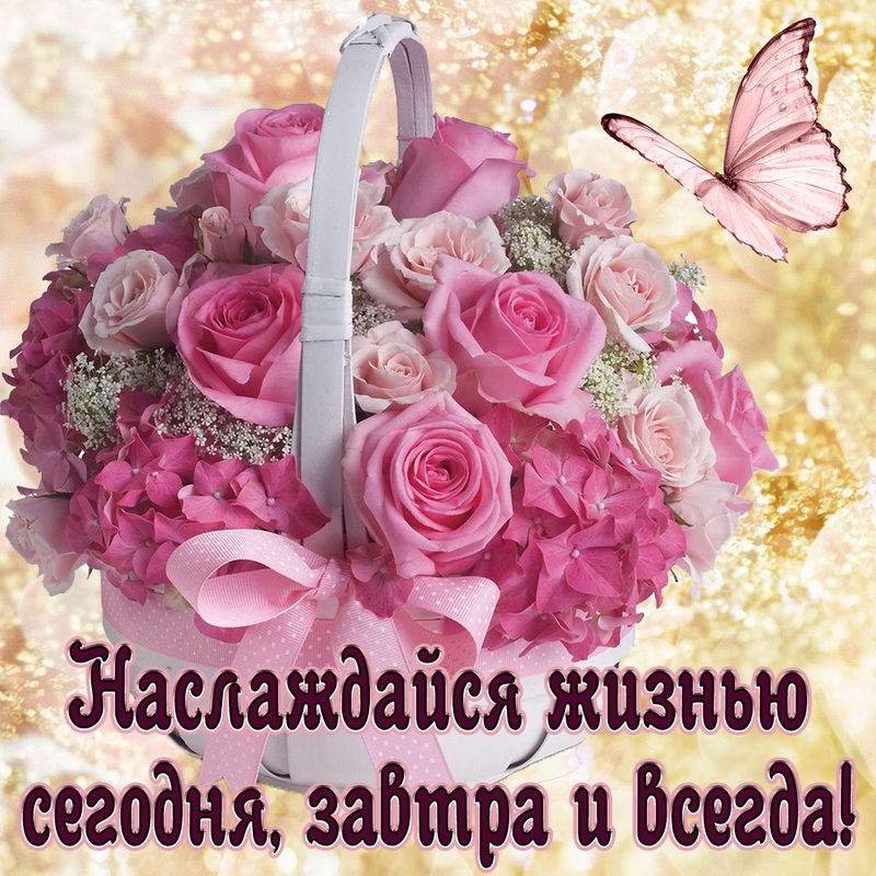 Картинка с красивым букетом цветочков и бабочкой