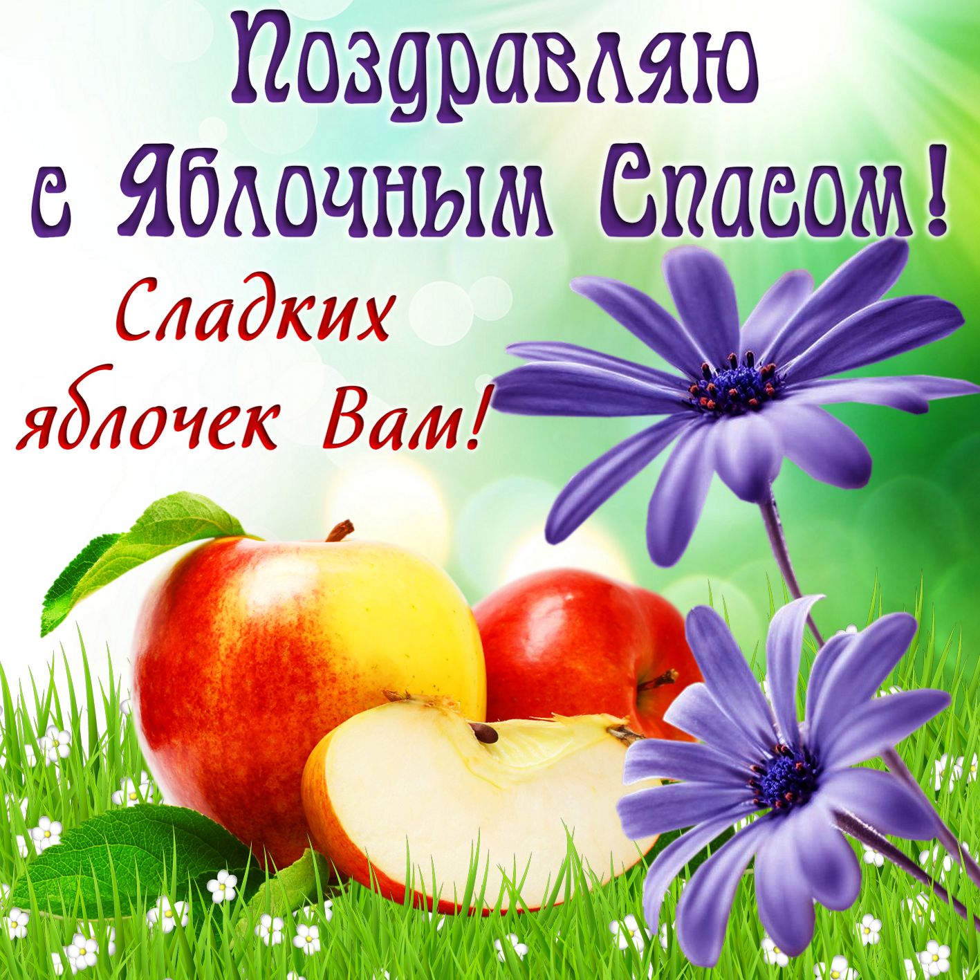 Открытка на Яблочный Спас - яблоки и цветы на травке