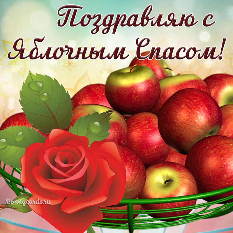 Открытка с яблоками и розой на Яблочный Спас