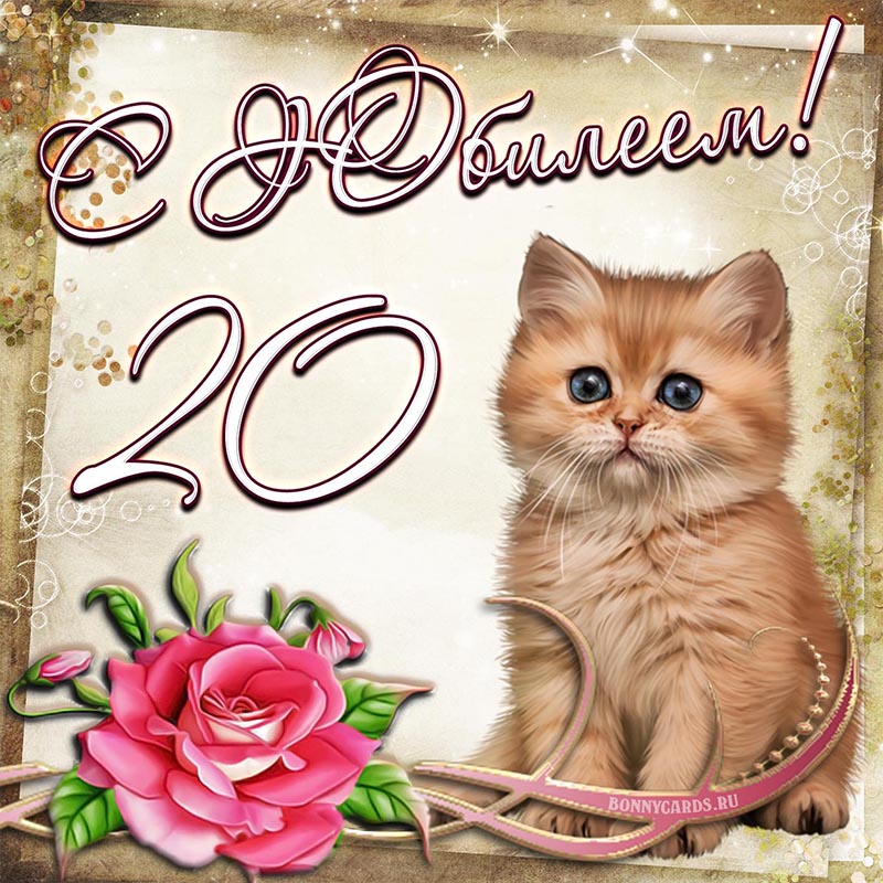 Красивая картинка на юбилей 20 лет с котенком и розой