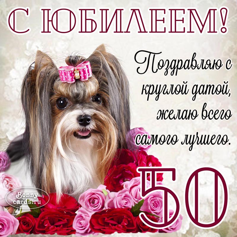 Открытка - поздравление с круглой датой на 50 лет на фоне собаки