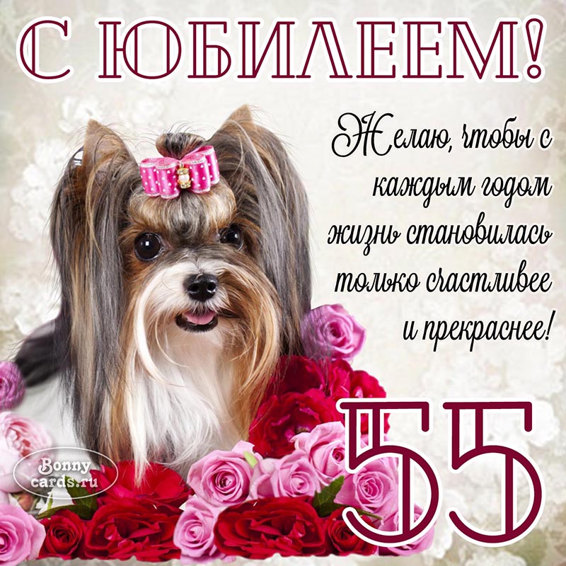 Прикольная открытка с собачкой на юбилей 55 лет