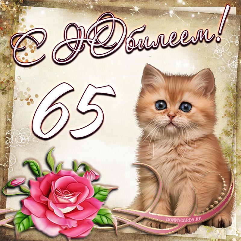 Отличная картинка с котёнком и цветком на юбилей 65 лет