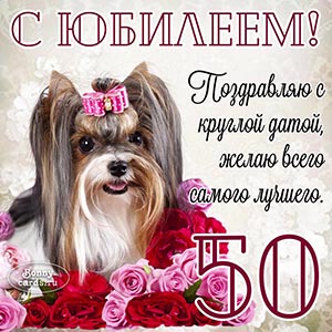 Поздравление с круглой датой на 50 лет на фоне собаки