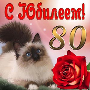 Приятная открытка на 80 лет с котом и красной розой