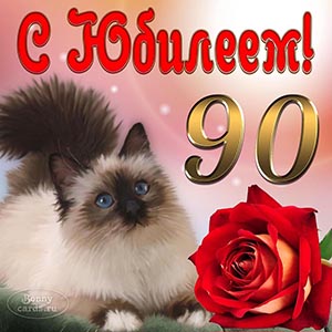 Отличная открытка с котиком и цветком на 90 лет