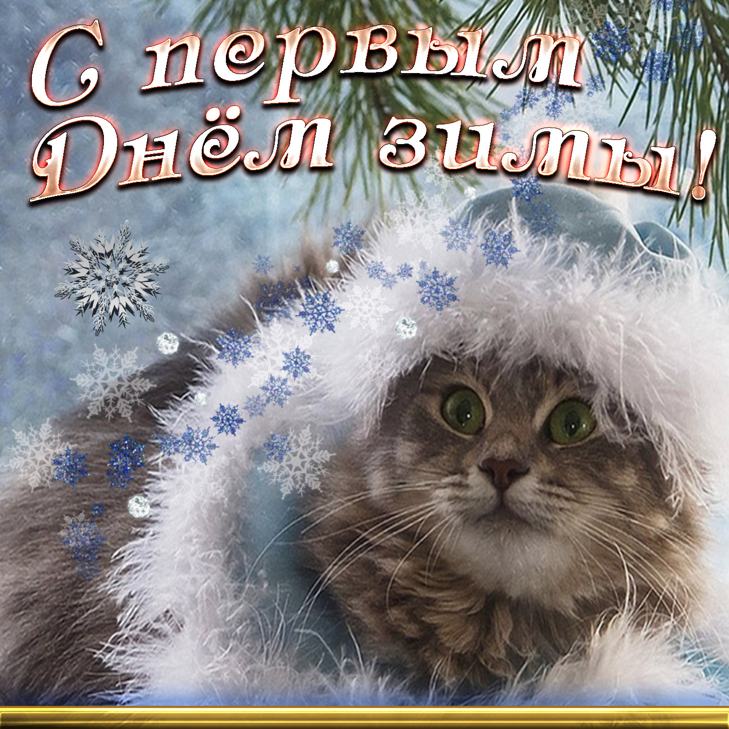 Картинка с котом на первый День зимы