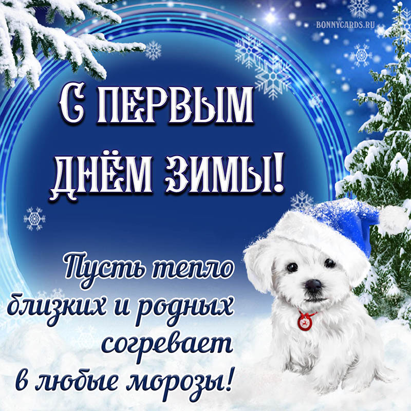 Добрая открытка на первый день зимы с собакой